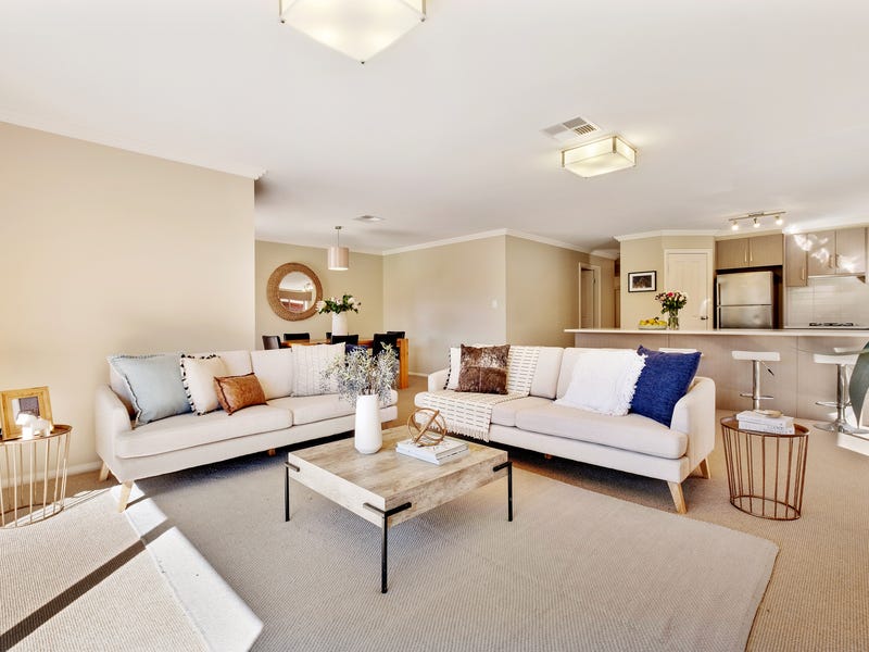 55 Patricia Avenue, Camden Park, SA 5038