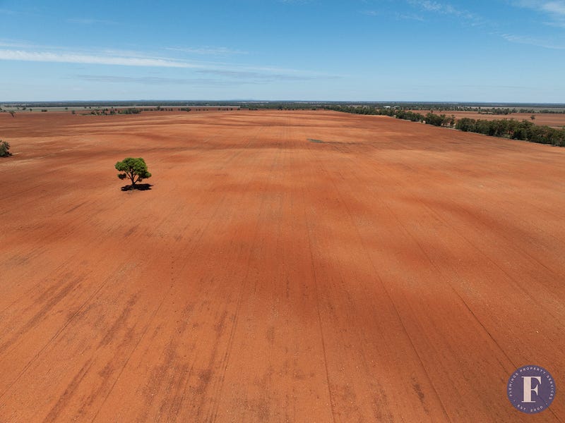 1039 Lone Wilga Road, Tottenham, NSW 2873 Other for Sale realestate