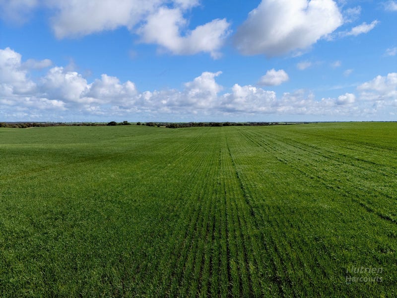 Warooka address available on request Cropping for Sale 700321548