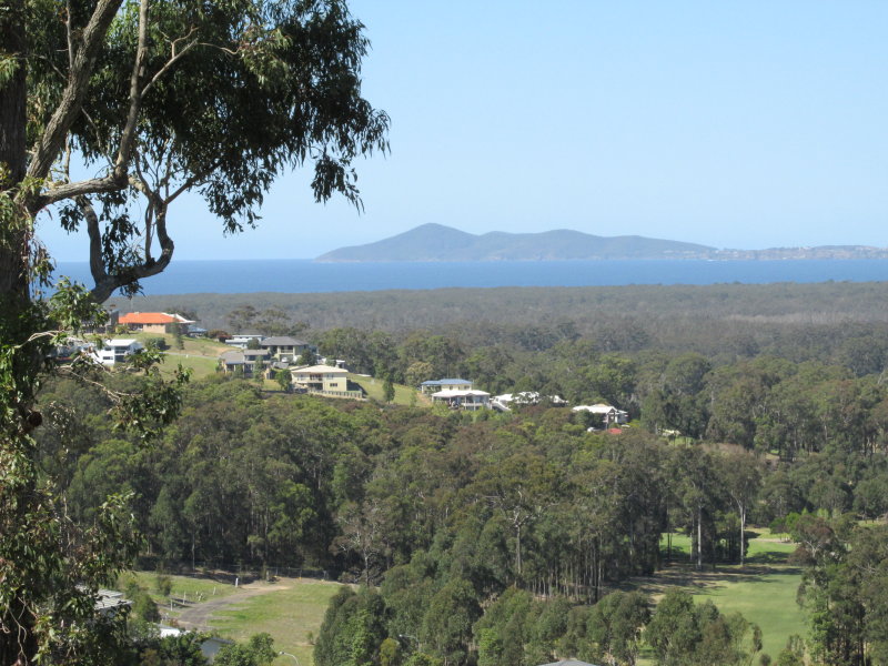 290 Tallwood Drive, Tallwoods Village, NSW 2430