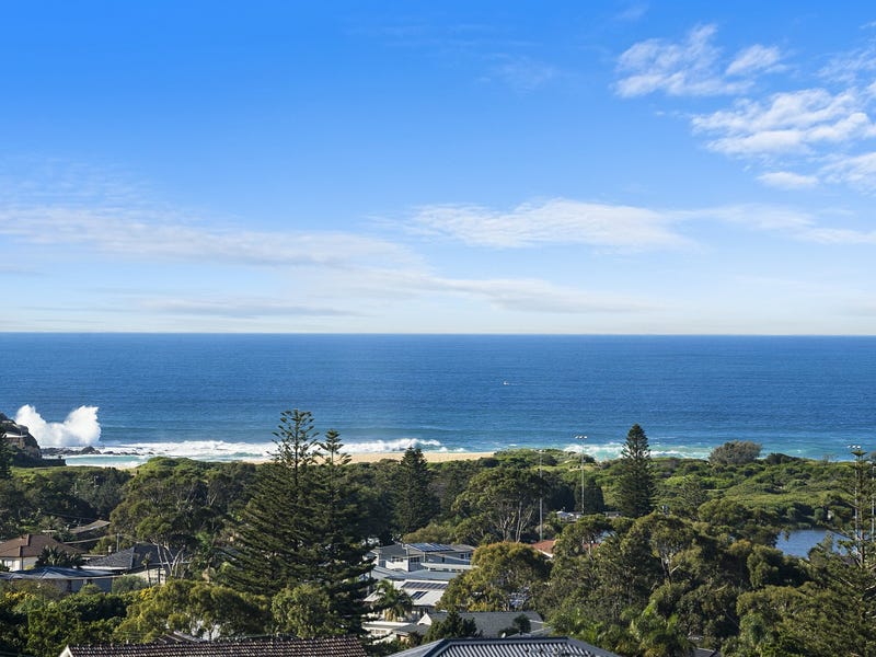 31 Jocelyn Street, North Curl Curl, NSW 2099 - realestate.com.au