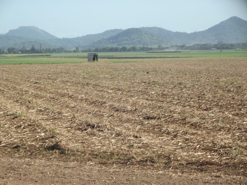 489 Rocky Waterholes Wollingford Road, Pleystowe, QLD 4741 realestate