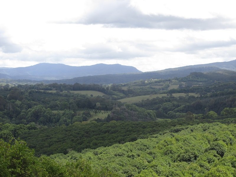 40 Fraser Road, Dunoon, NSW 2480