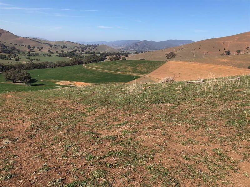 7413 Great, Swifts Creek, Vic 3896 Lifestyle for Sale