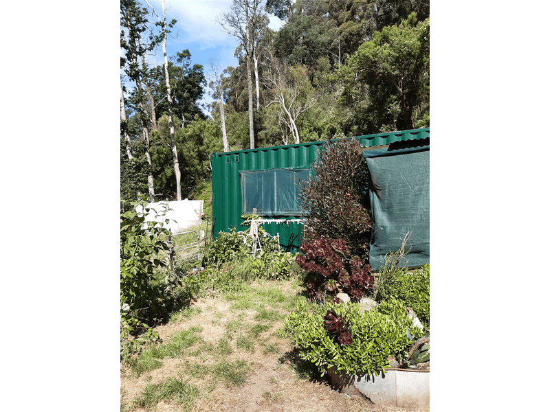 325 Lottah Road, Goulds Country, TAS 7216