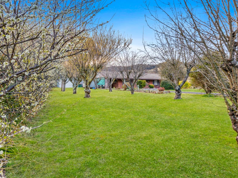 233 Brays Lane, Wallerawang, NSW 2845 Other for Sale