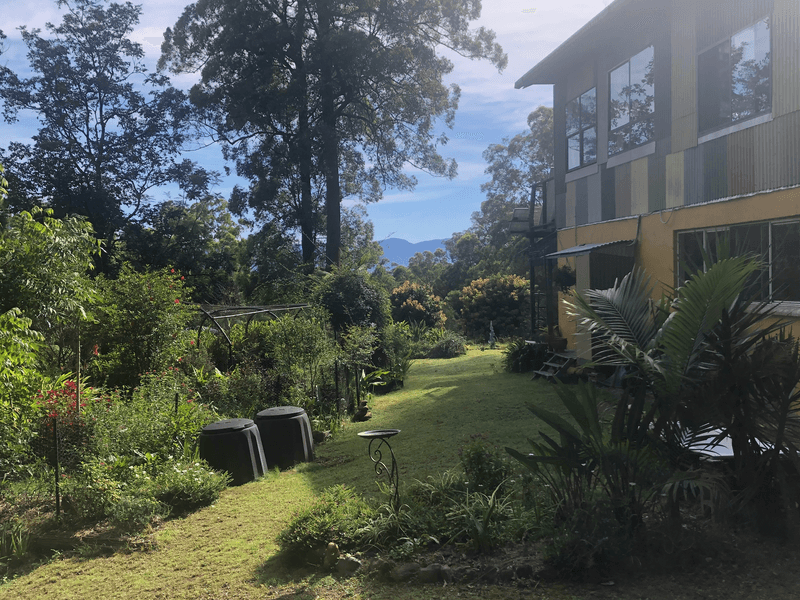 315 Boggy Creek Road, Thora, NSW 2454 House for Sale