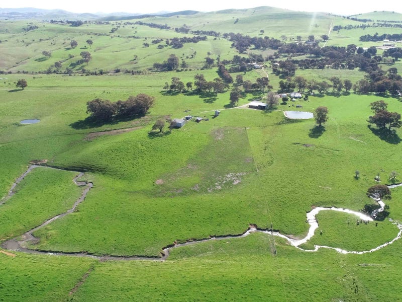 1597 Black Range Road, Bowning, NSW 2582 Property Details