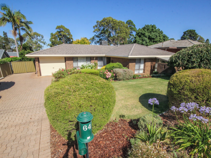64 Hamilton Road, Fairview Park, SA 5126