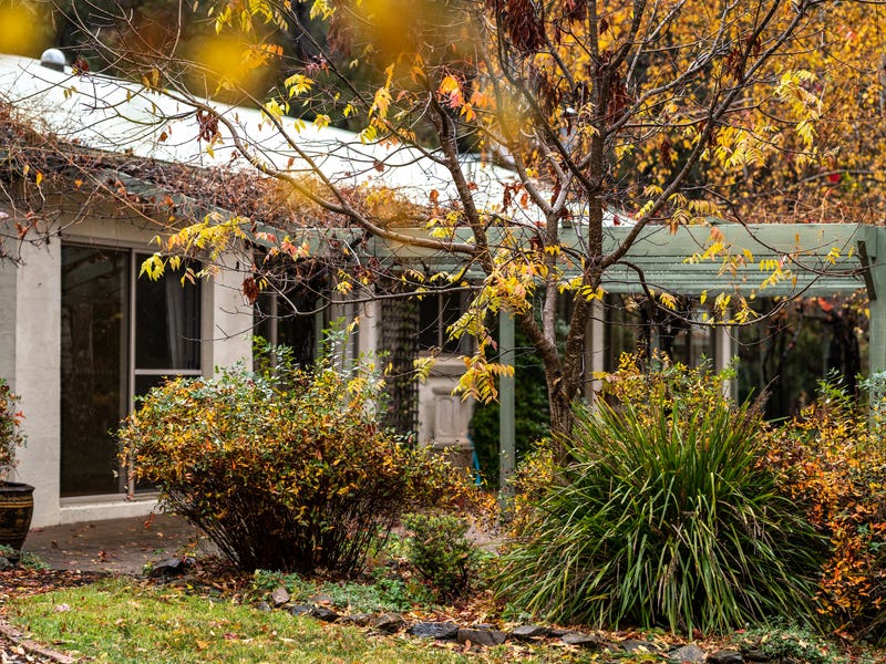 40 Molonglo Place, Carwoola, NSW 2620 Property Details