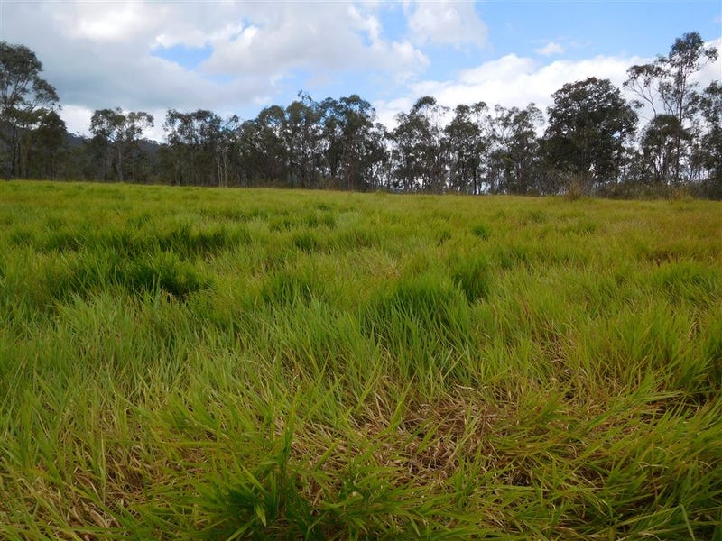 22649 Peak Downs Highway, Hazledean, Qld 4741 - Livestock 