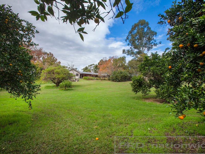 1549 Paterson Road, Paterson, NSW 2421