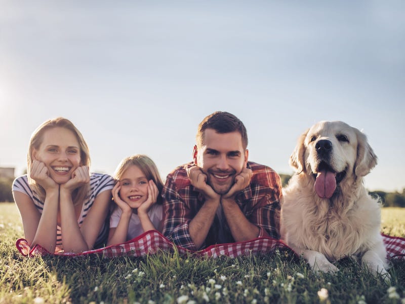 Real Estate & Property for Sale in Cardup, WA 6122 (+1 location) Pg. 21