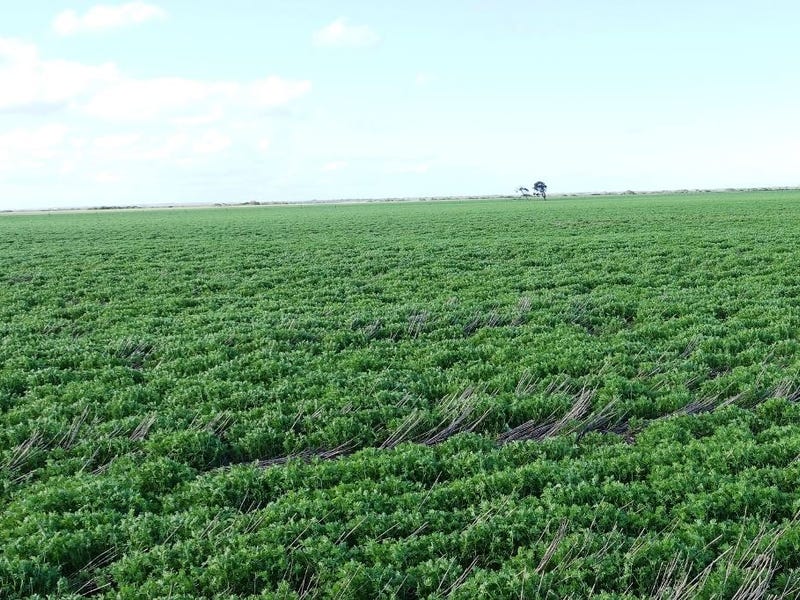 Sect. 231 St. Vincent Hwy, Warooka, SA 5577 Property Details