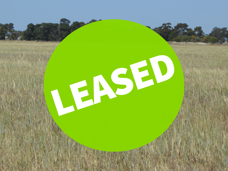 Allotment 1 Cnr Bell Road and Carcuma Road, Tintinara, SA 5266 Other