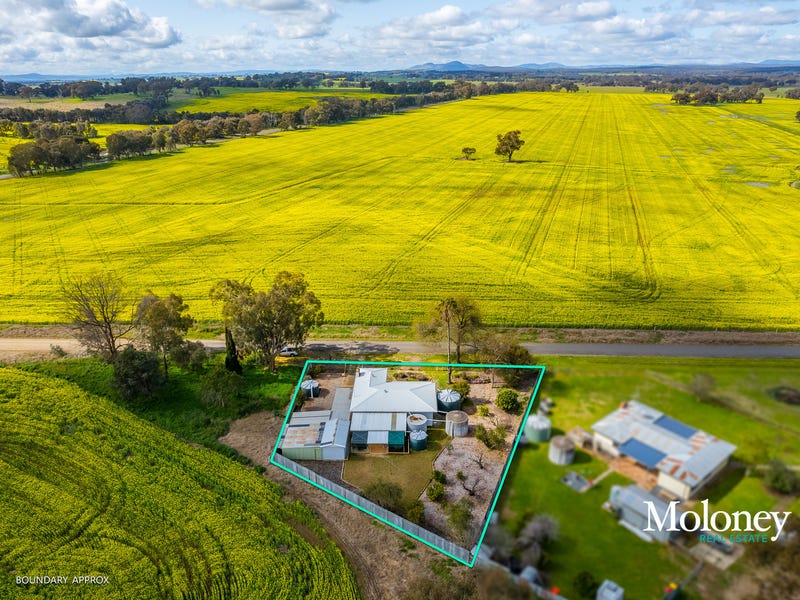 15 Stillards Lane, Rutherglen, Vic 3685 Property Details