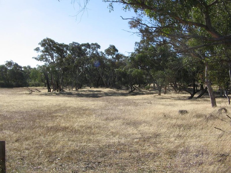 Section 50 Mundulla/Padthaway Rd, Padthaway, SA 5271 Property Details