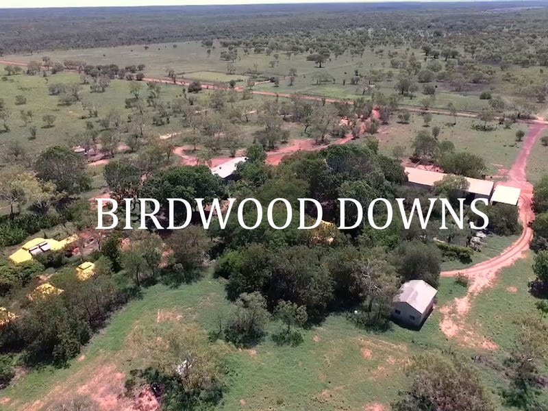 Lots 9000/9001 Gibb River Road, Derby, WA 6728 Acreage for Sale