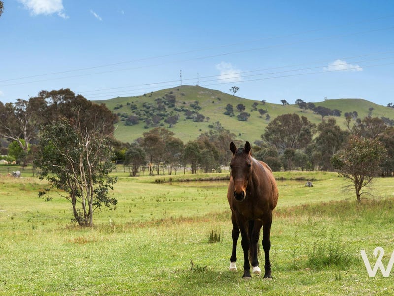 Real Estate & Property for Sale in Yass, NSW 2582 (+2 locations) Pg. 29