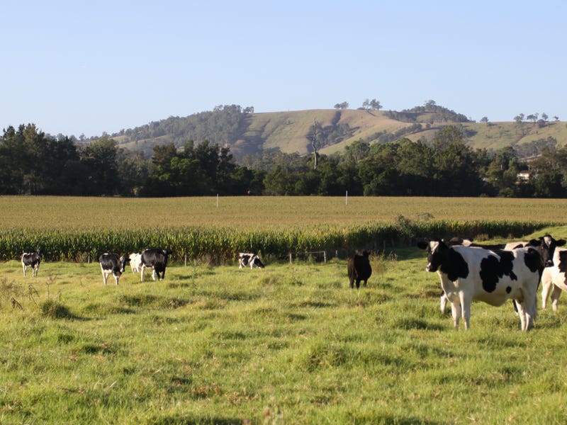 1058 FOSTERTON ROAD, Dungog, NSW 2420 - Property Details