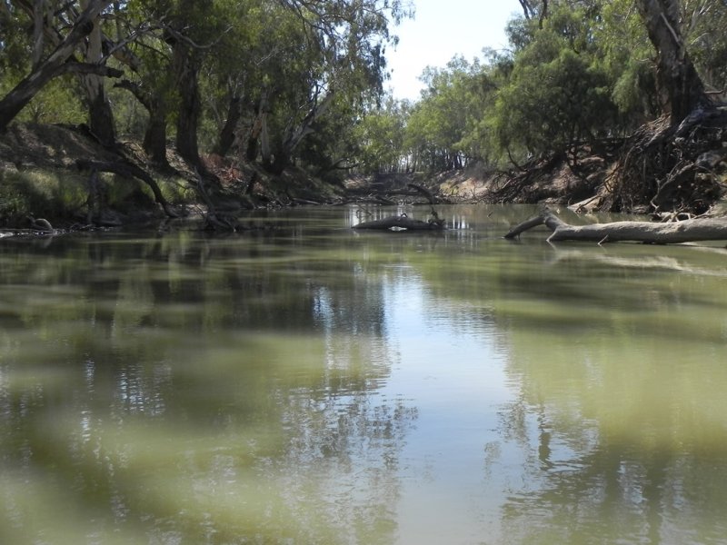  Glenroy Lake Cargelligo NSW 2672 Cropping for Sale 7727319