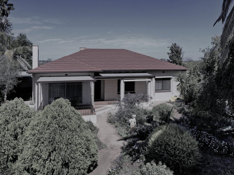 77 Casson Avenue, Loxton North, SA 5333