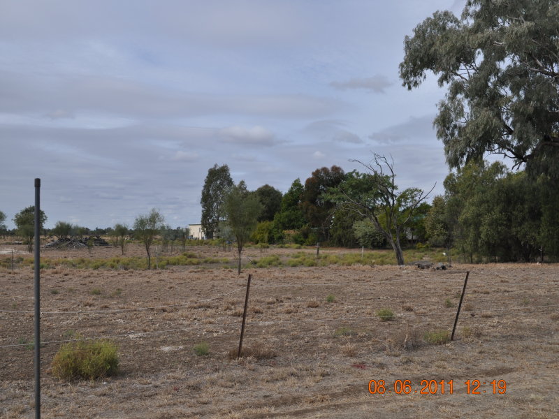 911 Isabel Street, Dirranbandi, QLD 4486