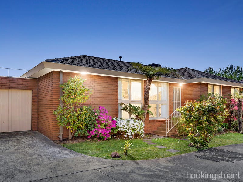 3/59 Glen Iris Road, Glen Iris, VIC 3146 - realestate.com.au