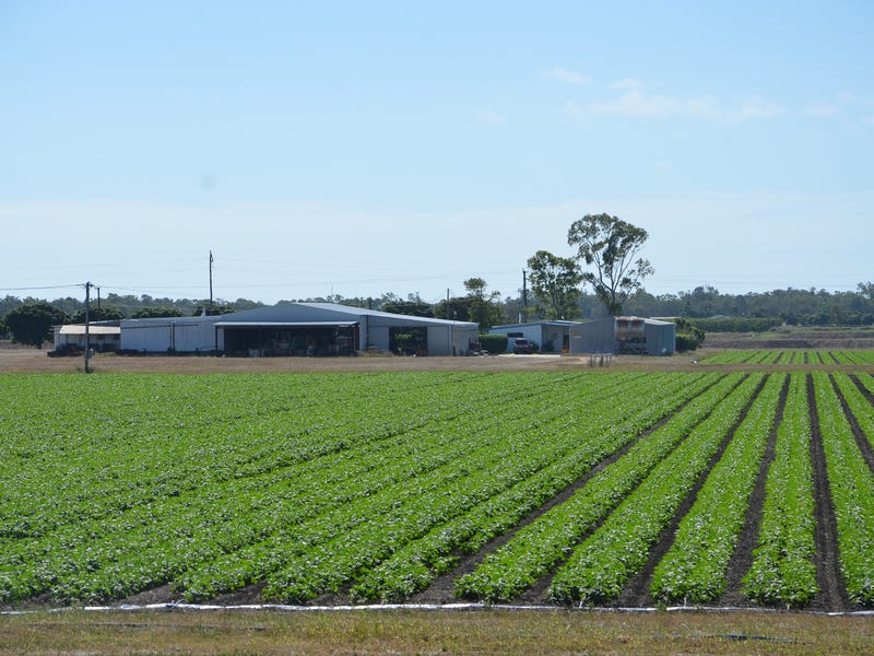 141 Telegraph Road, Bowen, QLD 4805