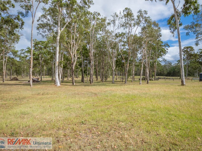 Pest control in Burpengary East