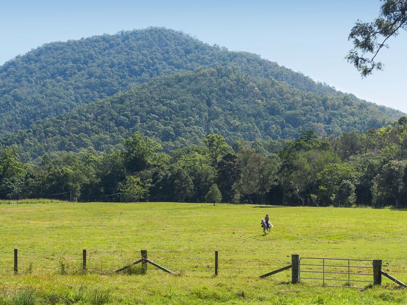 7 Curtis Road, Cedar Creek, QLD 4520