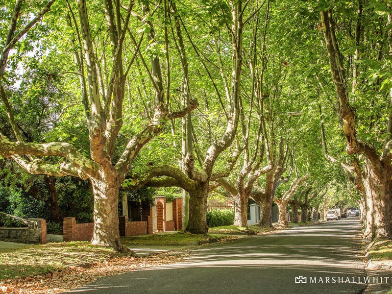 52 Normanby Road, Kew, Vic 3101 Property Details