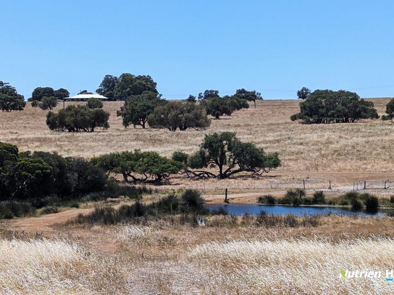 374 Mogumber Road W, Red Gully, WA 6503