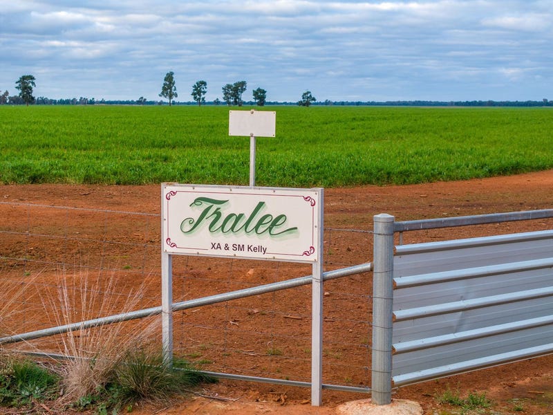 Matong 'Tralee' 690 Matong North Road, Matong, NSW 2652 - Property Details