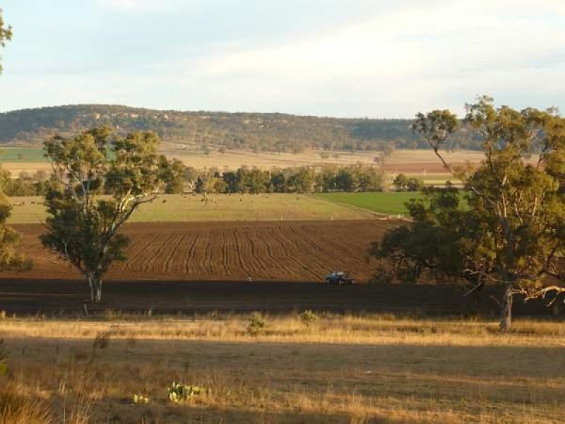 Property 7318611, Coolah, NSW 2843 Property Details