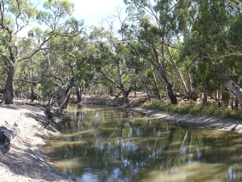 1 Brassi Road, Deniliquin, NSW 2710 - Property Details