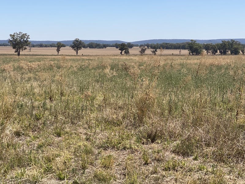 18 Miles Road, Forbes, NSW 2871 Cropping for Sale