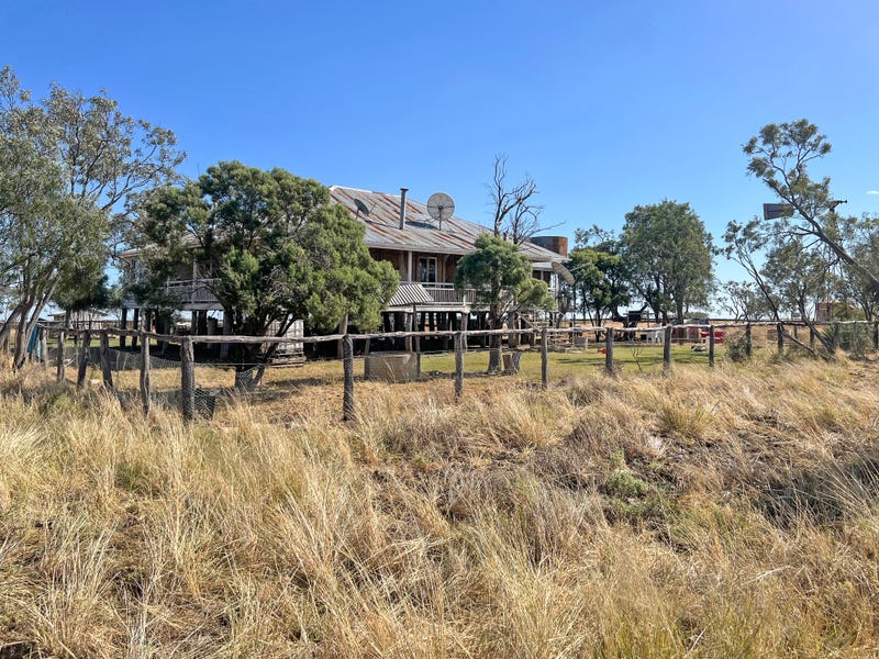 " Moonya ", Barcaldine, Qld 4725 Livestock for Sale