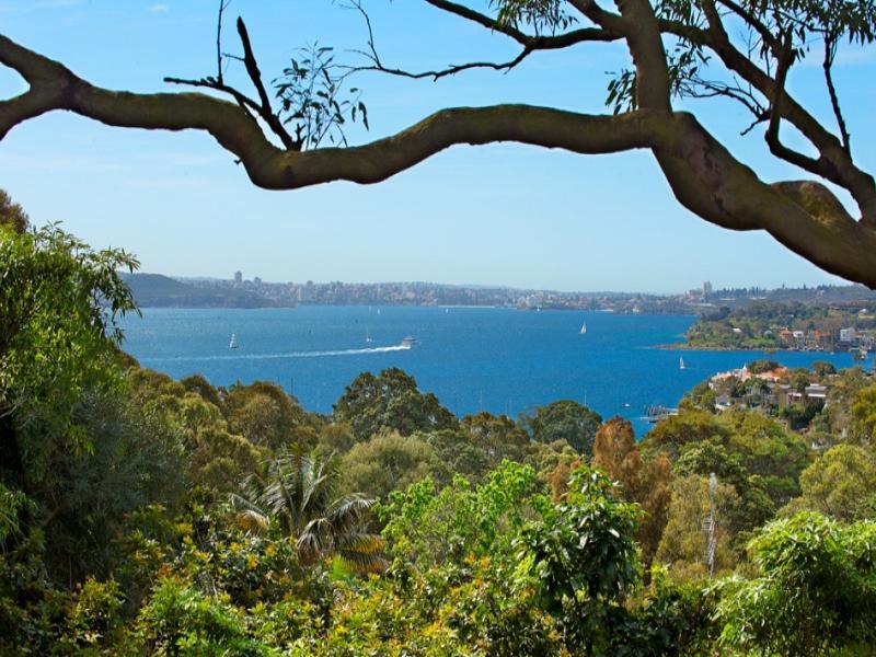 31 Wentworth Road, Vaucluse, NSW 2030