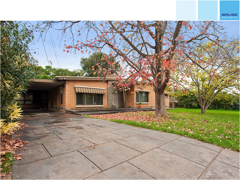 16 Woodmere Avenue, Paradise, SA 5075 Property Details