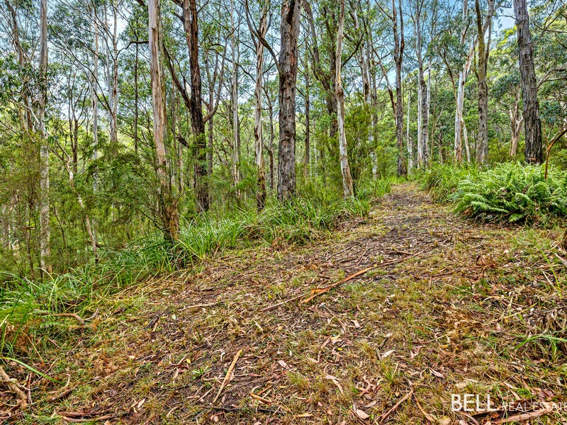 Real Estate & Property for Sale in Healesville, VIC 3777 (+1 location