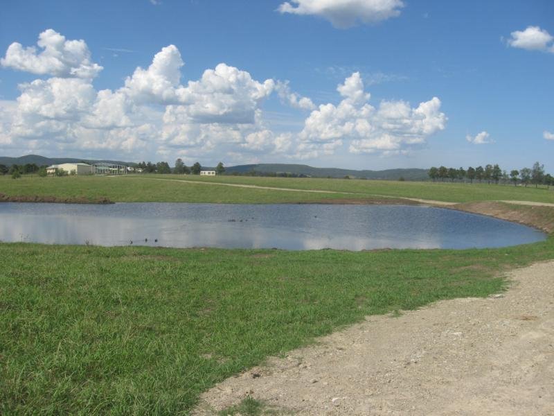 Property 7241996, Woodville, NSW 2321 Property Details