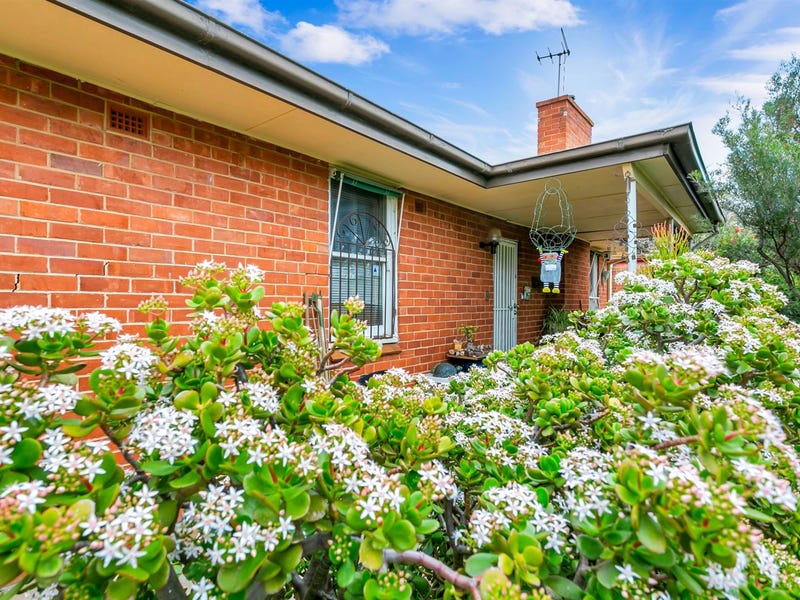 8 Britton Avenue, Tranmere, SA 5073 Property Details