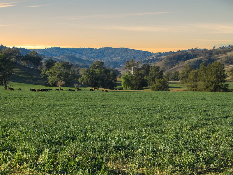 Property 7995138, Scone, NSW 2337 Property Details