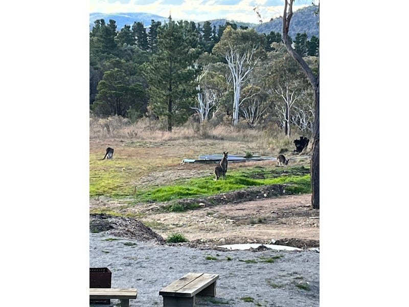 Middle Arm Road, Goulburn, NSW 2580 Other for Sale