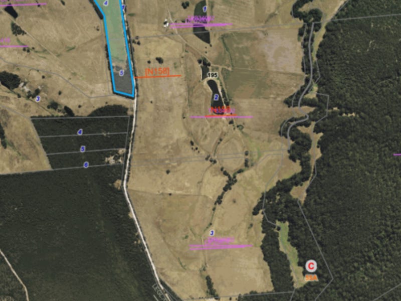 100 Moomowroong Road, Carlisle River, VIC 3239