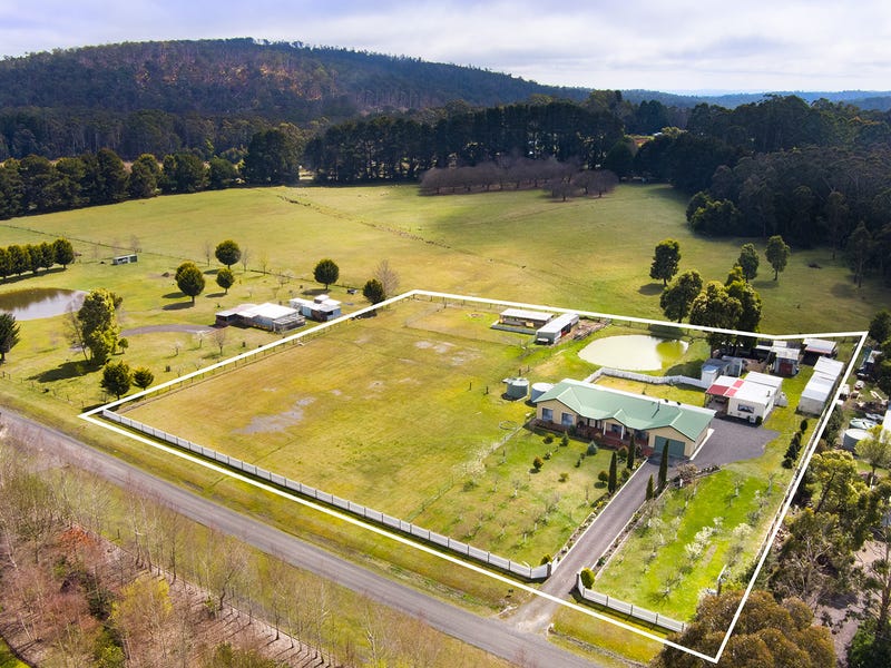 21 Messmate Road, Lyonville, VIC 3461