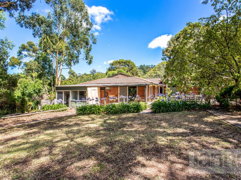 16 Shepherd Court, Coromandel Valley, SA 5051