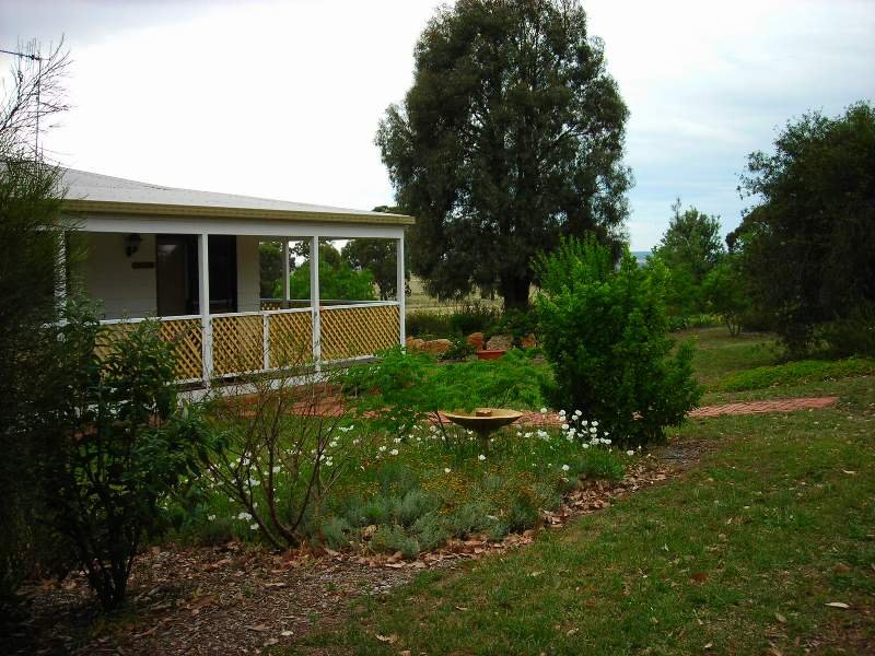 322 Patrick Road, Dunedoo, NSW 2844