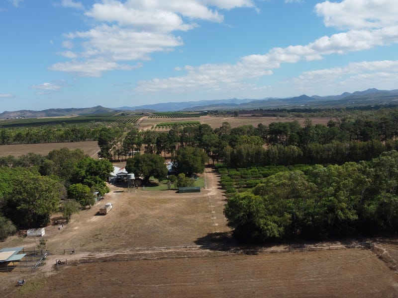 Dimbulah address available on request Cropping for Sale 700259488